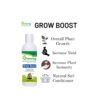 Grow Boost Infographic