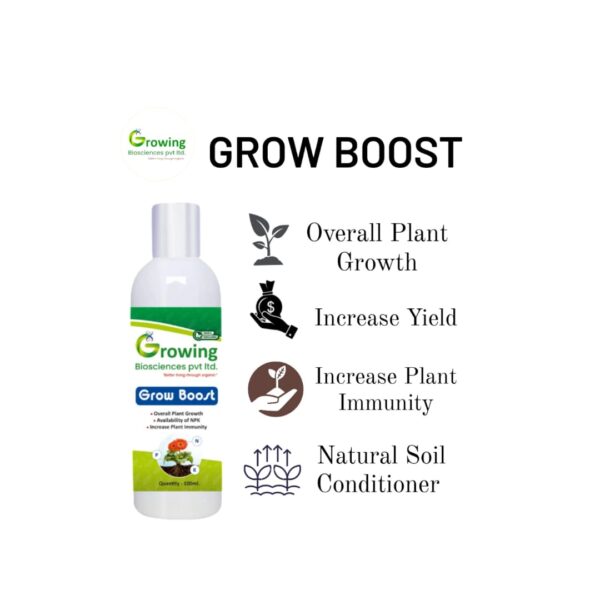 Grow Boost Infographic